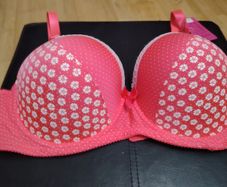 Brand New Bra