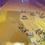 2004 leinster champions wexford GAA framed and signed jersey Image 10