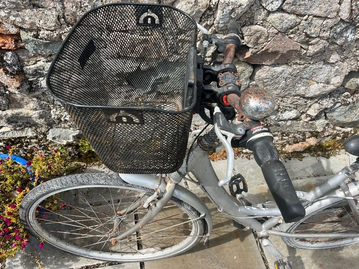ladies Silver Bike