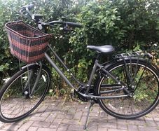 giant flourish ladies bike