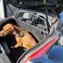 Dog guard for Nissan Juke (2014-2019) Image 3