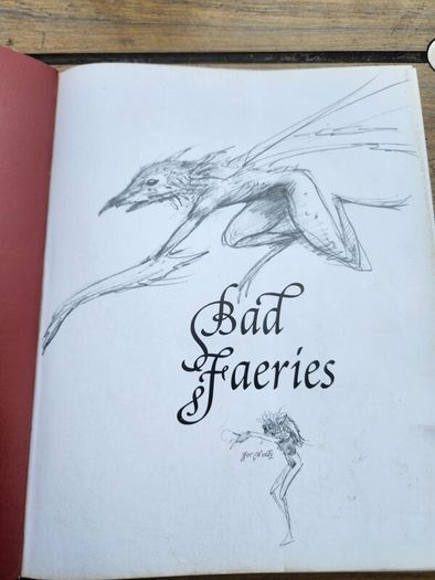 Good Faeries Bad Faeries. By Brian Froud. Edited By  Terri Windling. First Edition Large Volume Paperback In Very Good Condition.