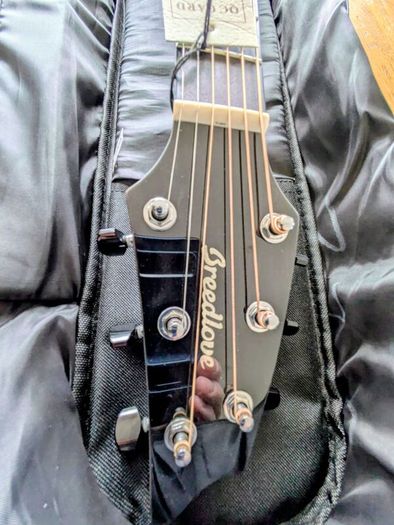 Breedlove Concert Pro guitar.Trade or Cash?