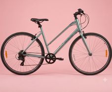 Ridgeback ladies bike size L /21inch