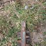 hedge cutter Image 4