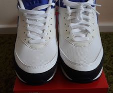 Nike Air Max BW White Persian Violet (2021) UK-8/EUR-42.5 DN4113-101 White/Black/Persian Violet-2021