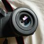 Canon Eos R8 + 50mm F1.8 Stm Lens Image 2