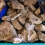 Aquascaping Materials Image 8