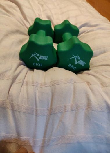 8kg dumbbells pair