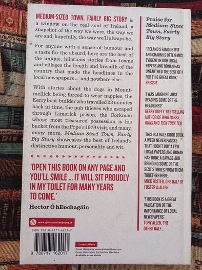 Ronan Casey / Medium Sized Town, Fairly Big Story/ 2014
