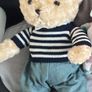 Plush teddies Image 4