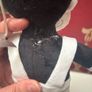 Boris. Bendy and the ink machine plush Image 3