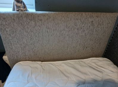 Bed & Mattress