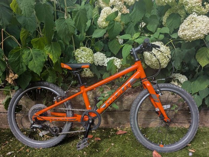 Giant ARX 20 kids bike