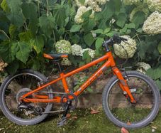 Giant ARX 20 kids bike