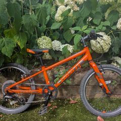 Giant ARX 20 kids bike