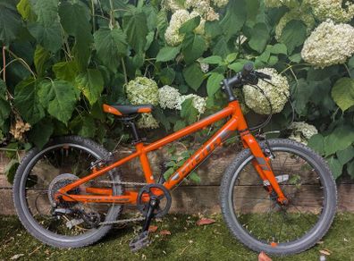 Giant ARX 20 kids bike