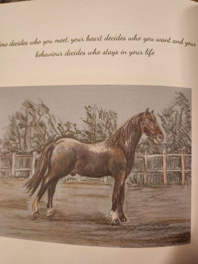 Our World Our Life. Being Expressions  Of Hope And Amusing Views Of Life. Published By Disabled Artists Association Cork. 2020. First Edition Large Volume Hardback In Very Good Condition.