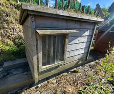 Dog House
