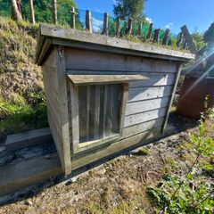 Dog House