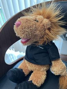 teddy bear