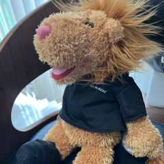 teddy bear