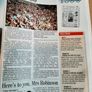 Irish Independent 1905-2005 Image 8