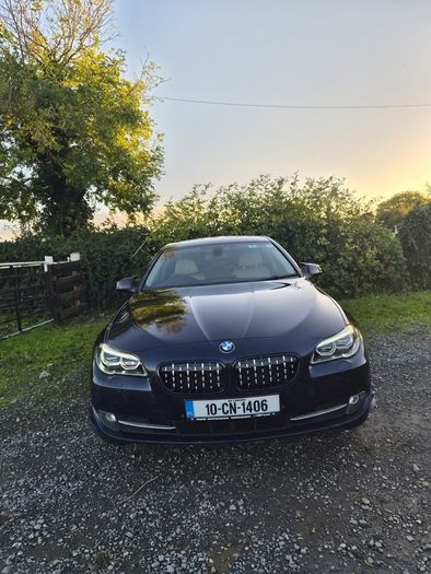 2010 Bmw 525