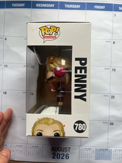 The Big Bang Theory Funko Pops - Sheldon, Leonard, Penny, Raj, Amy Stuart