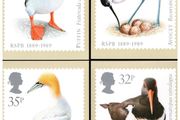 1989 England 100th Anniversary of Royal Society for the Protection of Birds (RSPB) Royal Mail PHQ Postcards. Card show enlargement of stamps of Puffin, Avocet, Oystercatcher &amp; Gannet.