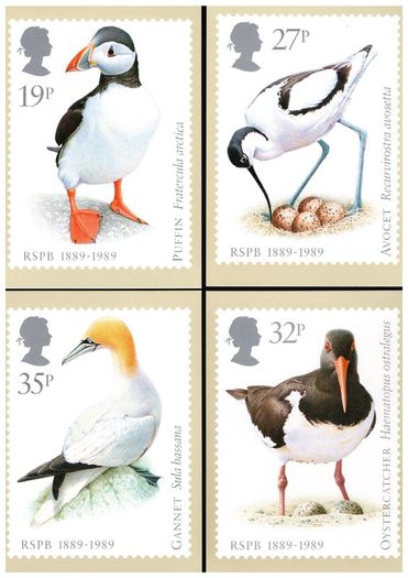 1989 England 100th Anniversary of Royal Society for the Protection of Birds (RSPB) Royal Mail PHQ Postcards. Card show enlargement of stamps of Puffin, Avocet, Oystercatcher & Gannet.
