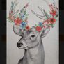 Deer picture Image 2