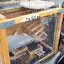 rat cage Image 3