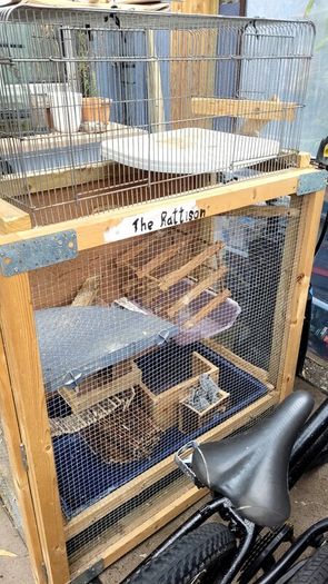 rat cage