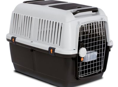 Dog Travel Crate