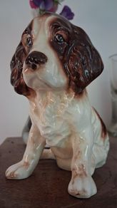 SylVac Cocker Spaniel