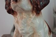 SylVac Cocker Spaniel