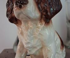 SylVac Cocker Spaniel
