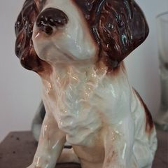 SylVac Cocker Spaniel