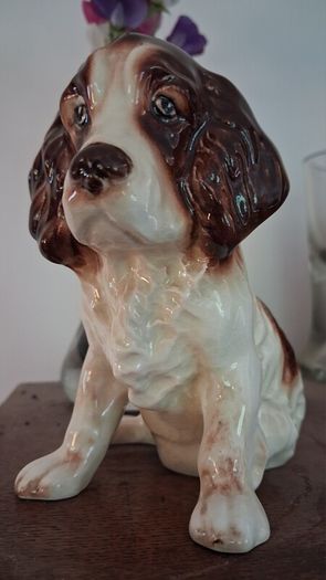 SylVac Cocker Spaniel