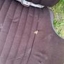 ford mk2 seats Image 4