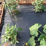 NEW SALE | Black Plastic Sheeting Heavy Duty - Polythene Sheet for Garden, 500G Gauge Thick, Strong Waterproof Gardens Cover Sheets | 2M x 1M Image 3