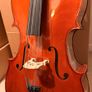 Roth & Junius RJC Cello Set 1/2 Image 2