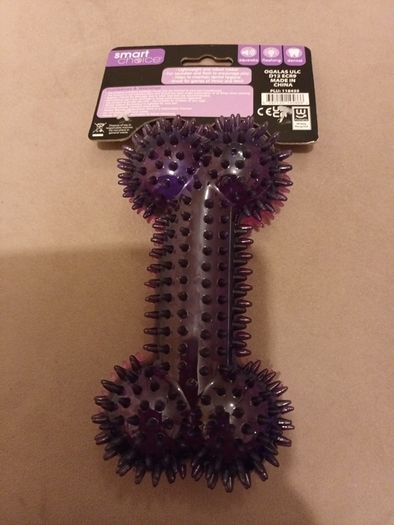 Flashing squeaker dog toy