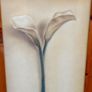 Beautiful Set of 2 Large Flower Pictures Image 9