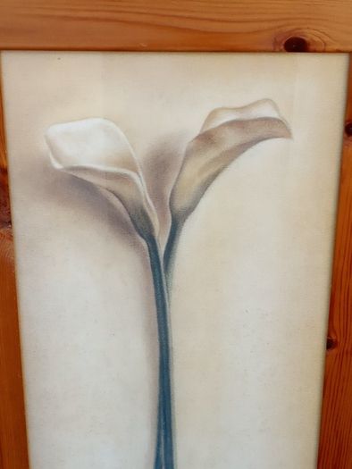 Beautiful Set of 2 Large Flower Pictures