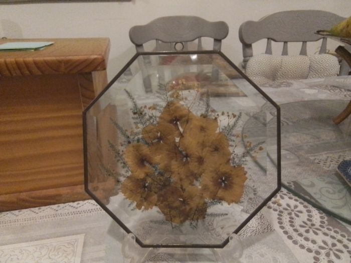 Glass Pressed Flower Hexagonal Wall Decor