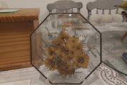 Glass Pressed Flower Hexagonal Wall Decor