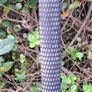 Callaway Big Bertha Titanium 10 degree Driver, RCH 65W Regular Flex, RH, 44.5 inch shaft Image 5