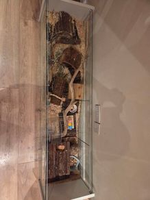 hamster enclosure
